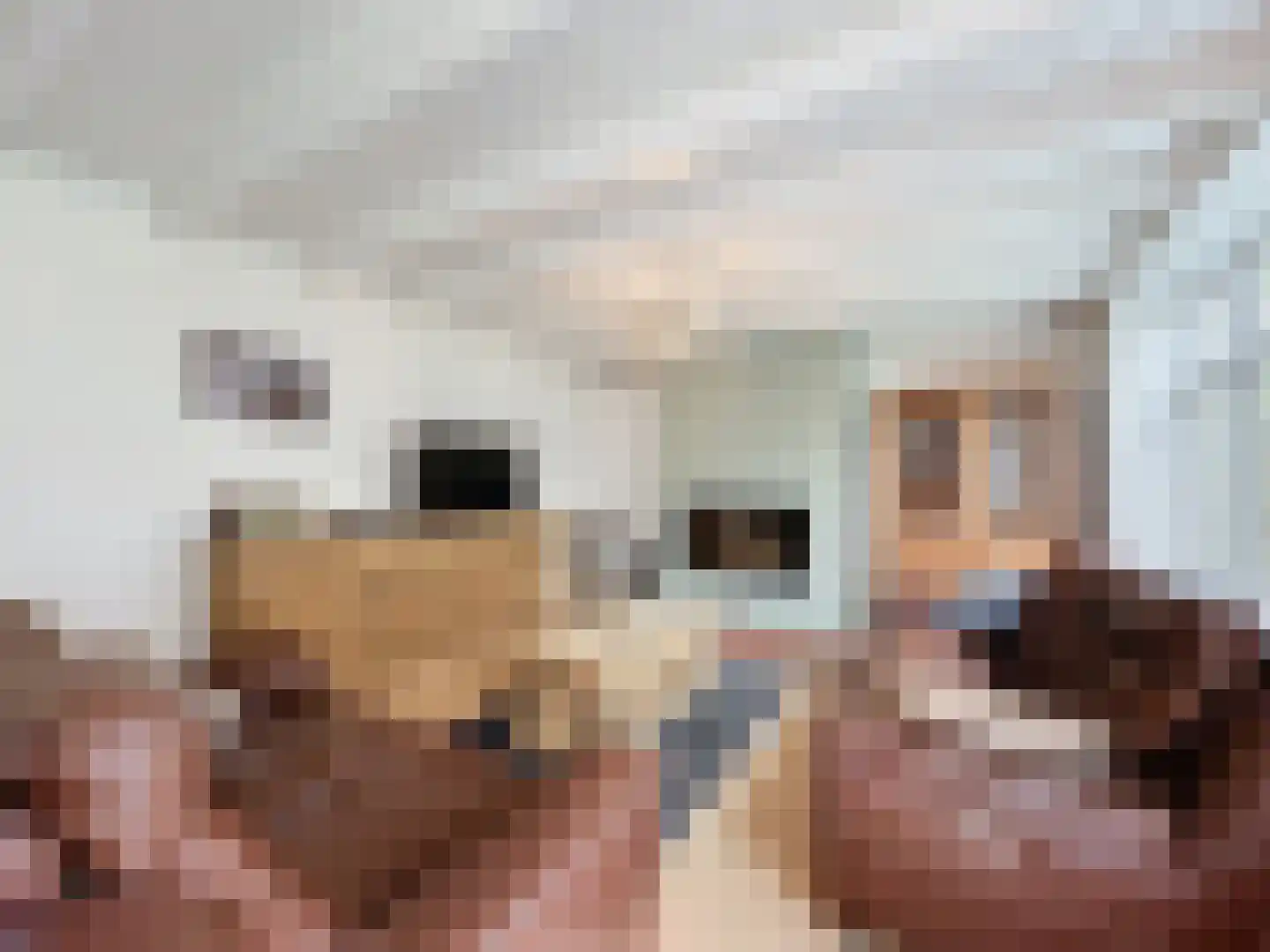 Hogeweg 4 Hoofdplaat thumbnail 4