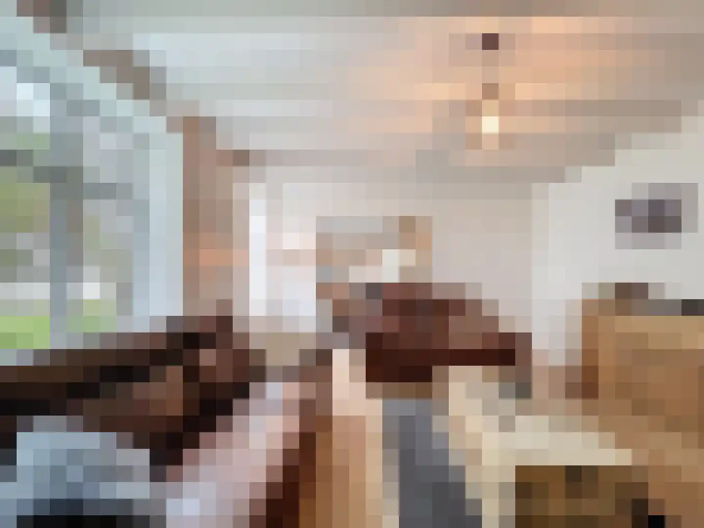 Hogeweg 4 Hoofdplaat thumbnail 8