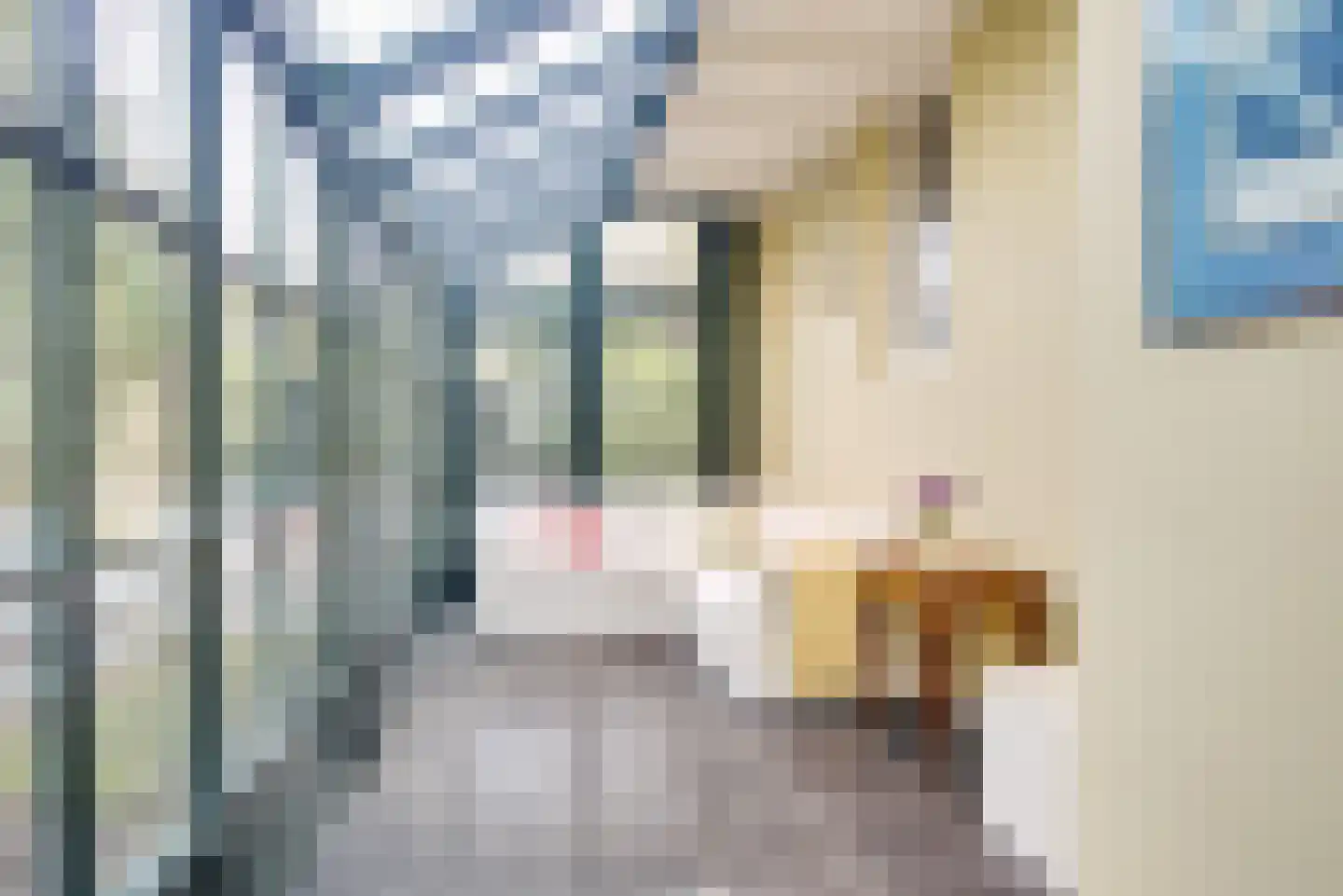 Hogeweg 4 Wassenaar thumbnail 24