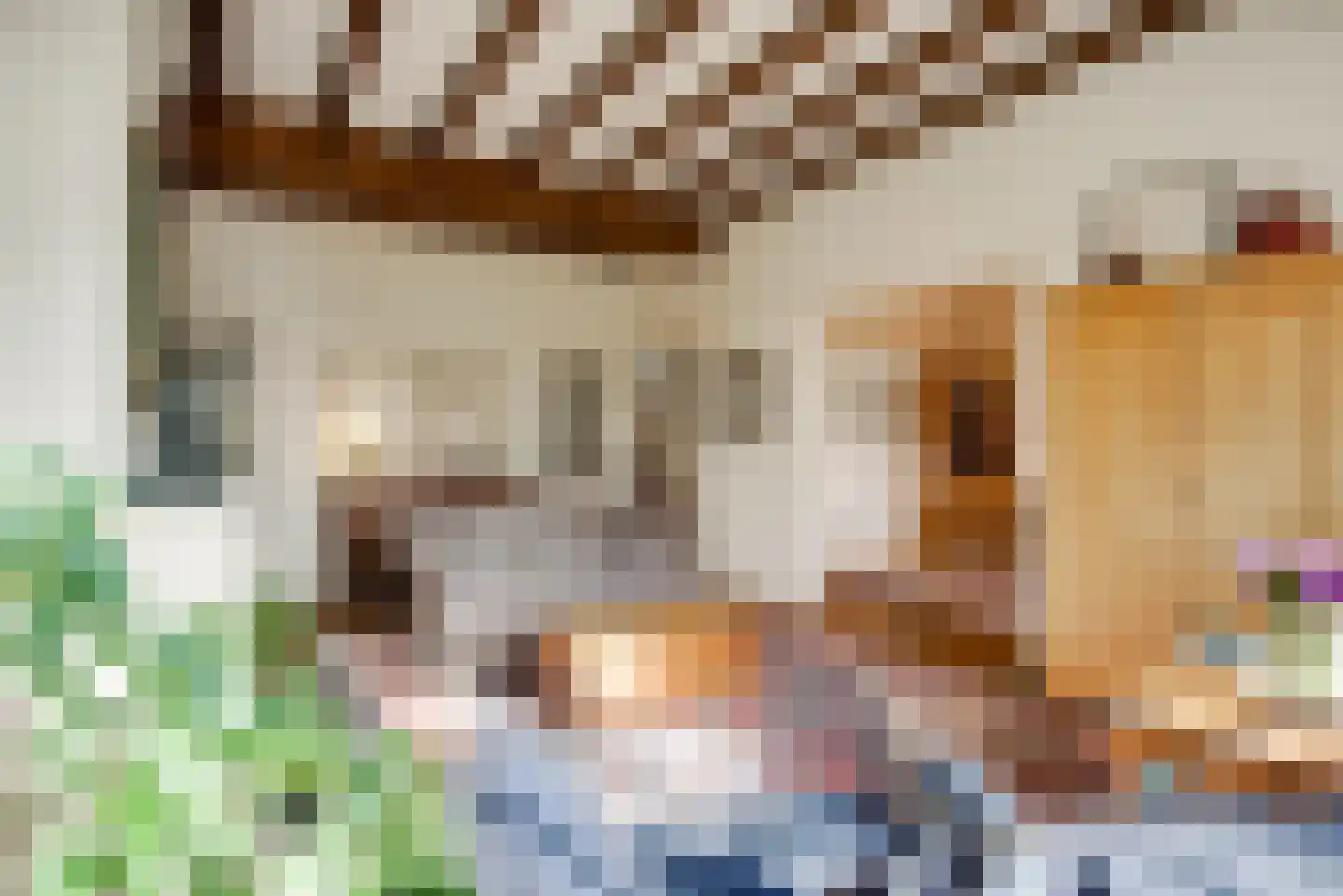 Hogeweg 4 Wassenaar thumbnail 32