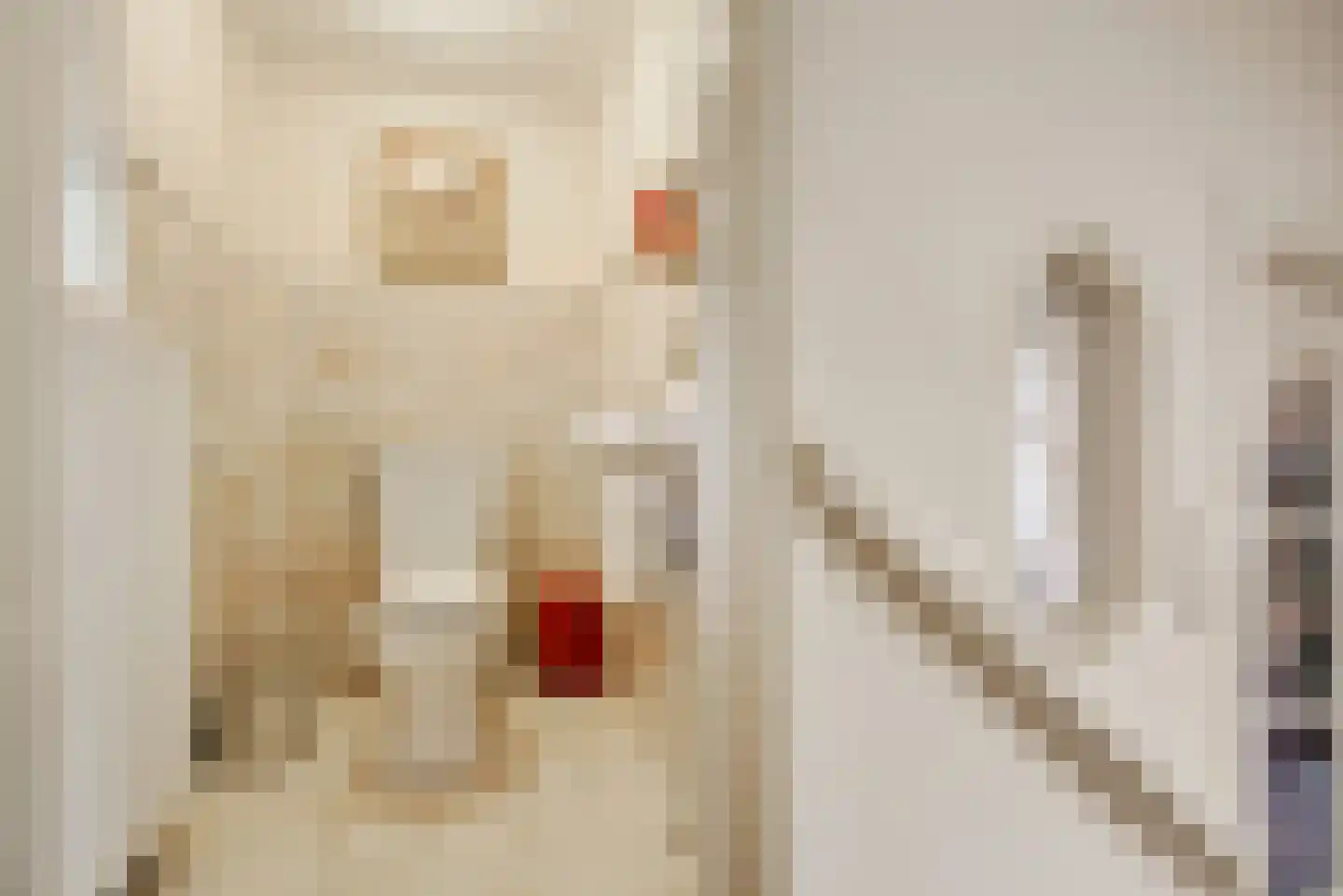Hogeweg 4 Wassenaar thumbnail 42
