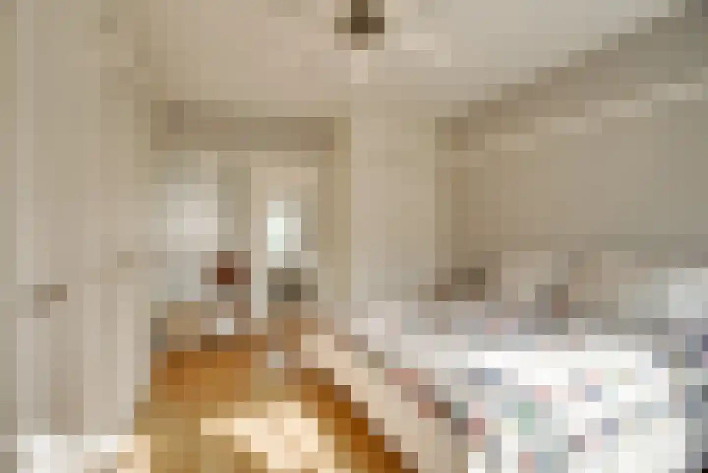 Hogeweg 4 Wassenaar thumbnail 45