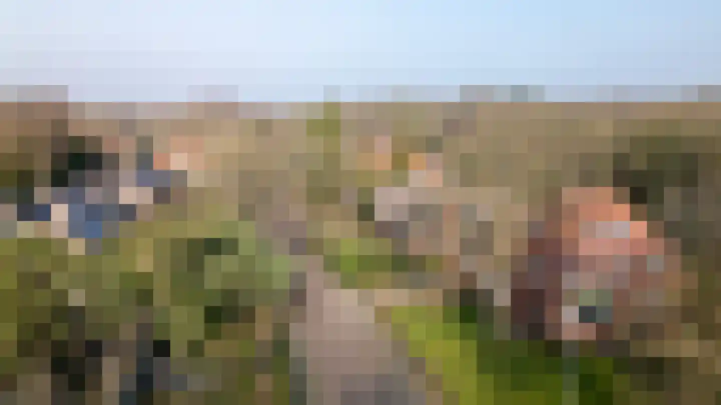 Hogeweg 4 Wassenaar thumbnail 63