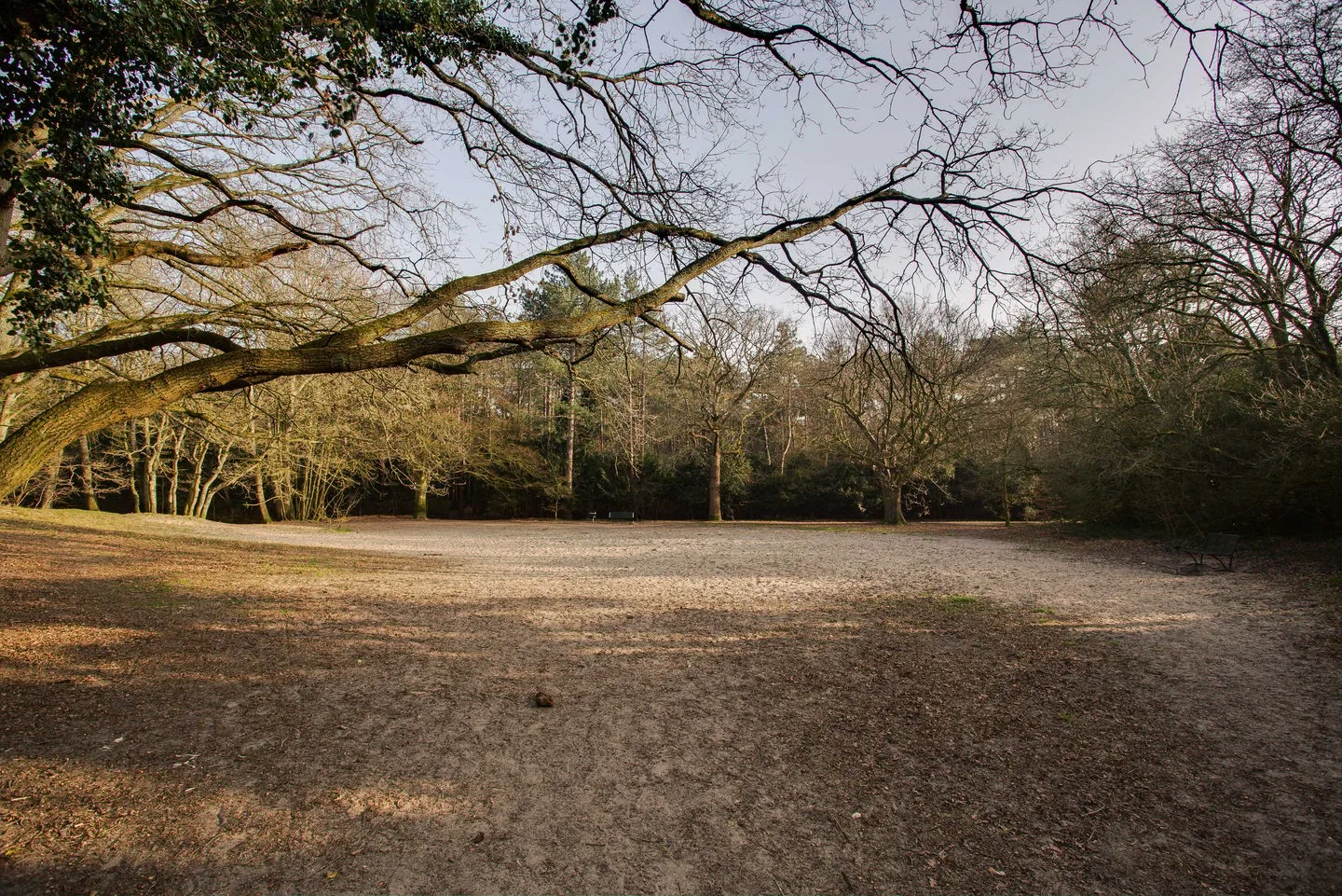Hogeweg 4 Wassenaar thumbnail 65