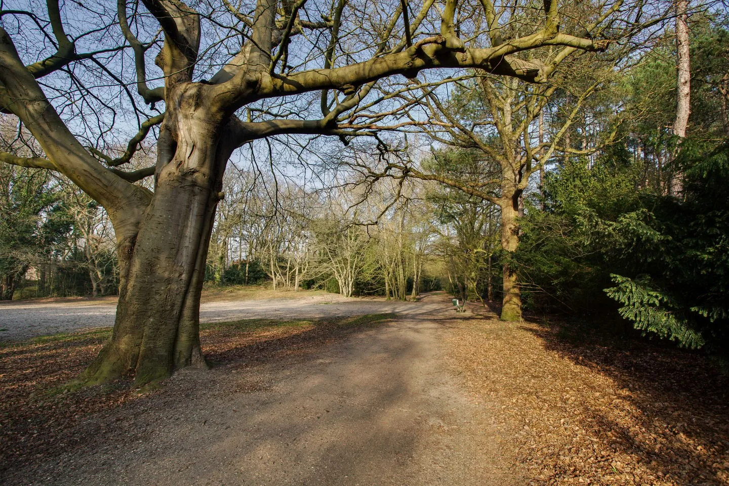 Hogeweg 4 Wassenaar thumbnail 67