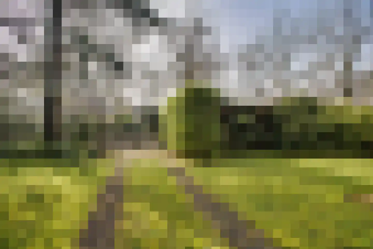 Hogeweg 4 Wassenaar thumbnail 9