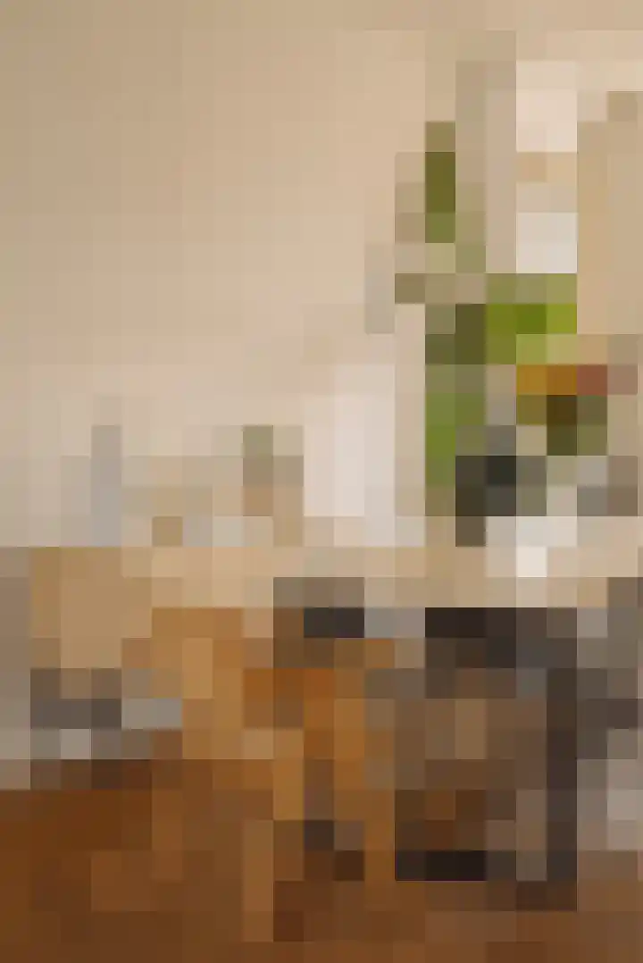 Hogeweg 40 1 Amsterdam thumbnail 10