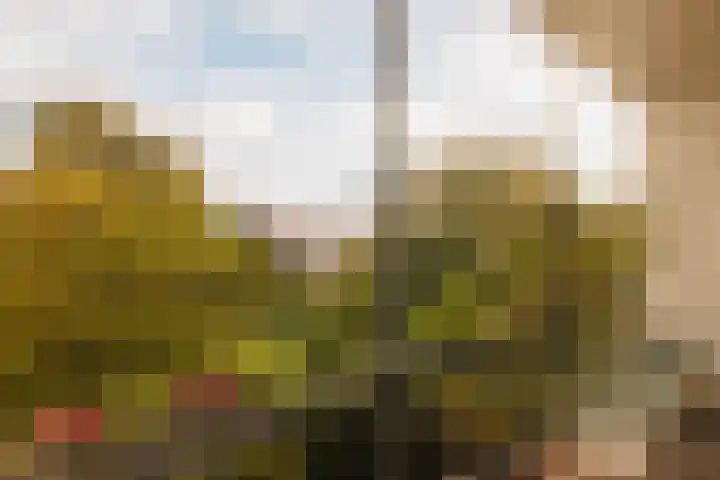 Hogeweg 40 1 Amsterdam thumbnail 5