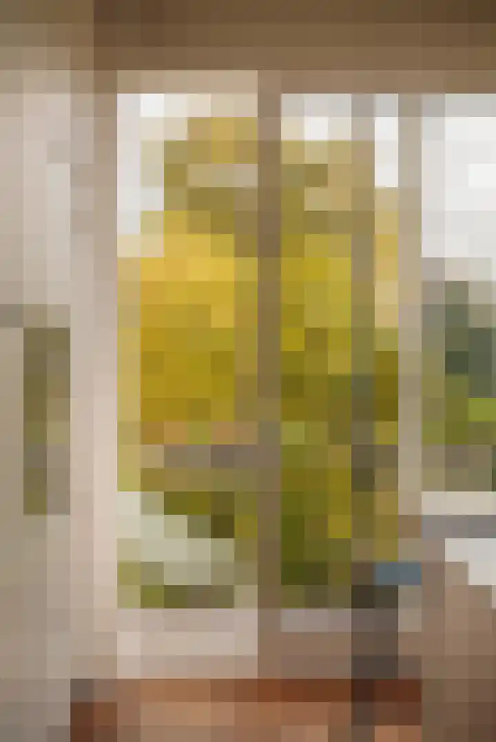 Hogeweg 40 1 Amsterdam thumbnail 7