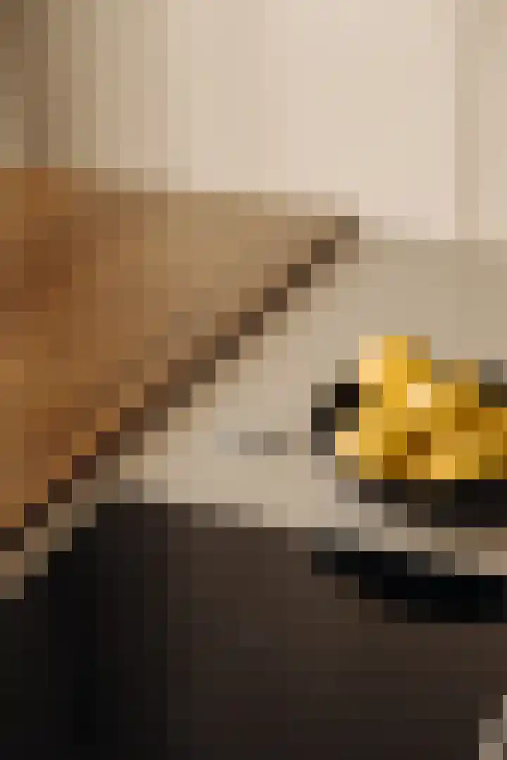 Hogeweg 40 1 Amsterdam thumbnail 8