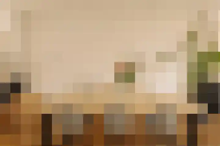 Hogeweg 40 1 Amsterdam thumbnail 9
