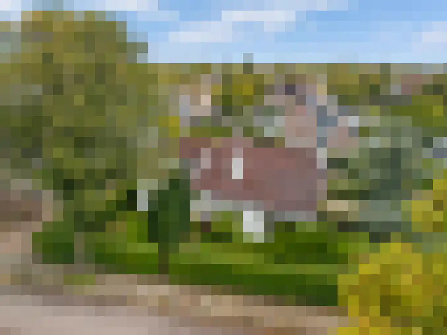 Hogeweg 40 Limmen