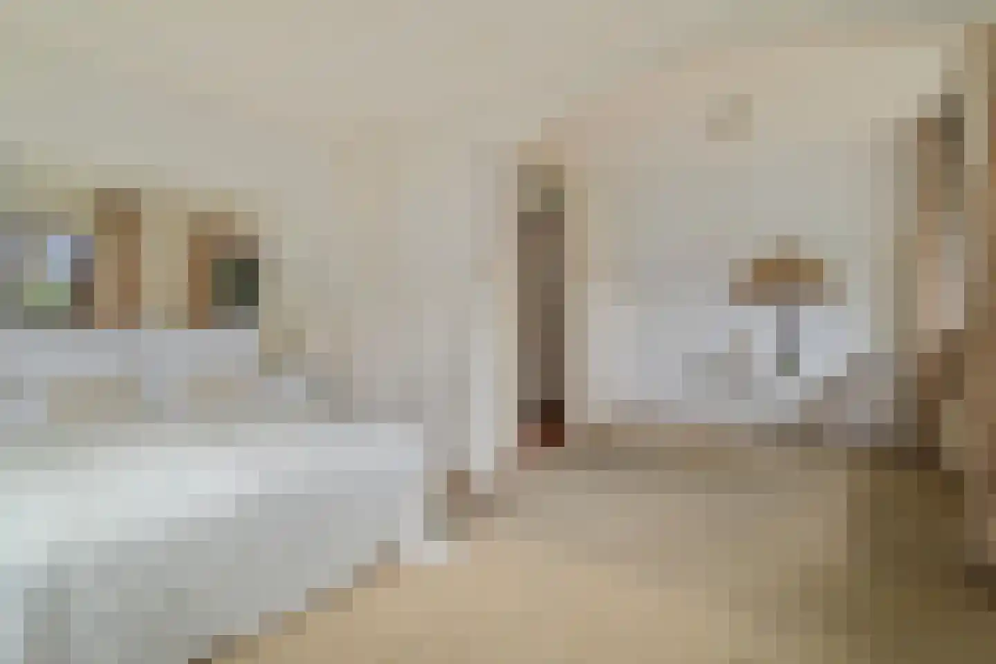 Hogeweg 40 Limmen thumbnail 16