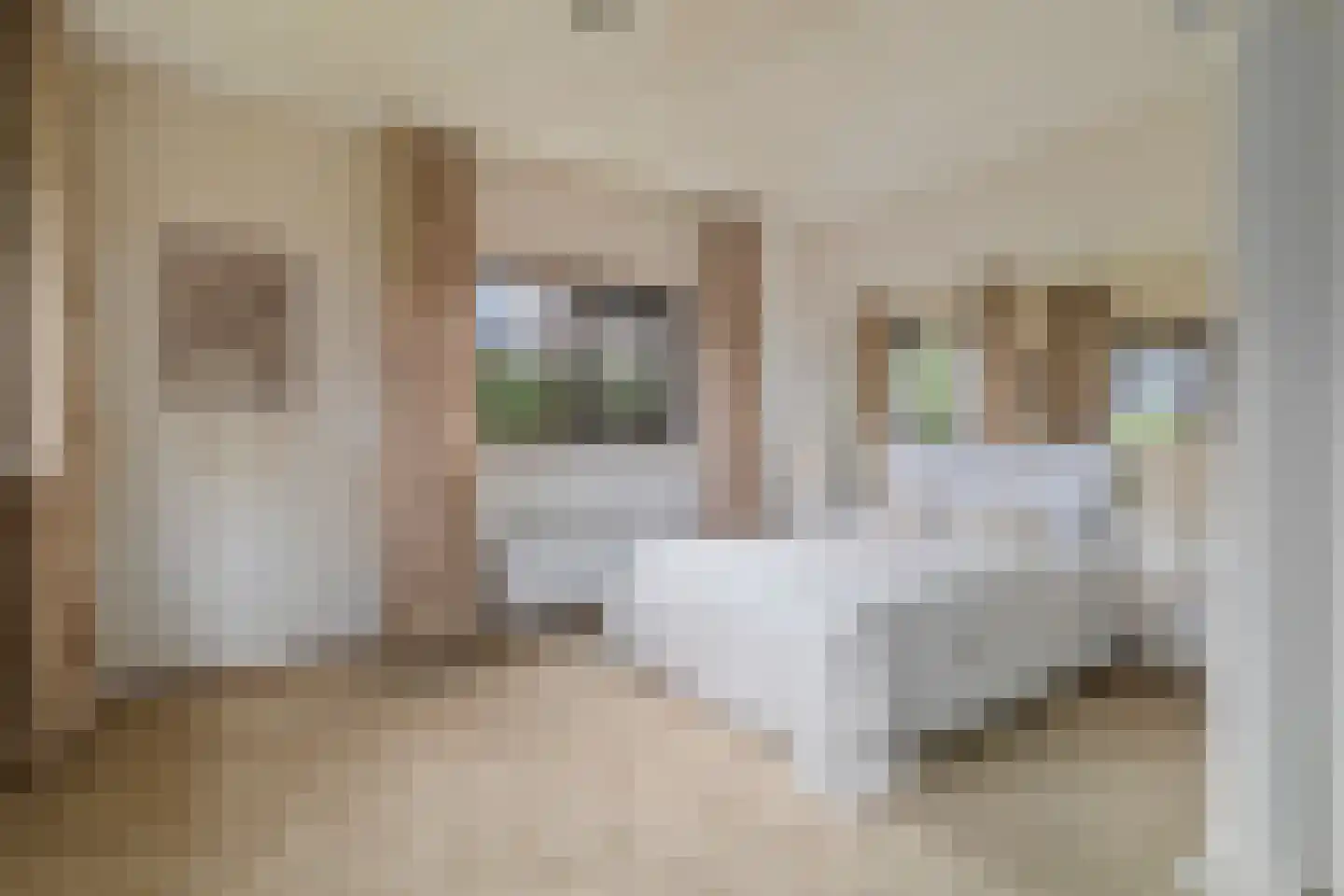 Hogeweg 40 Limmen thumbnail 17