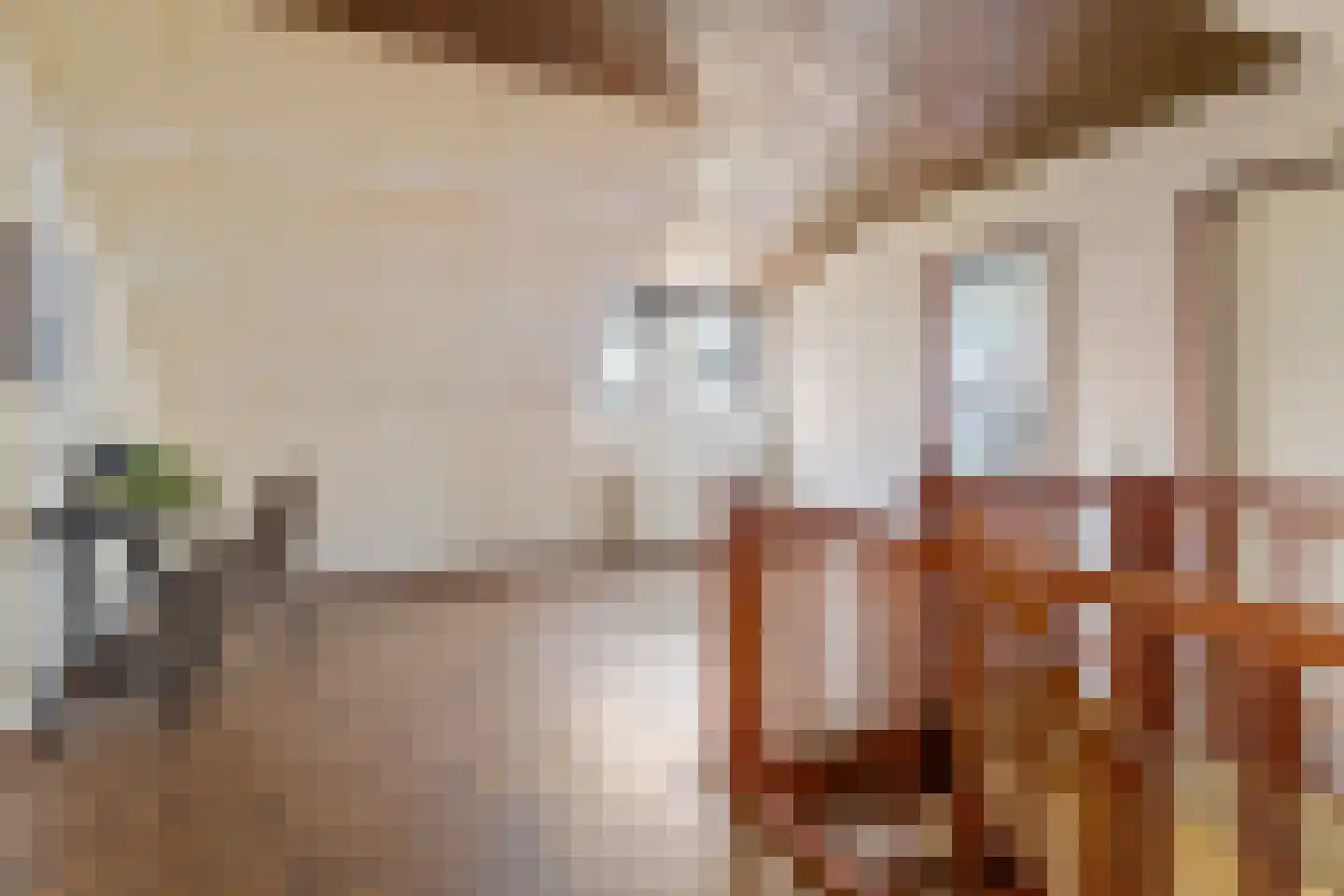 Hogeweg 40 Limmen thumbnail 21