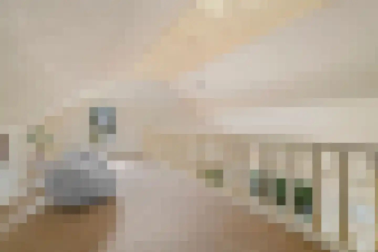 Hogeweg 40 Limmen thumbnail 24