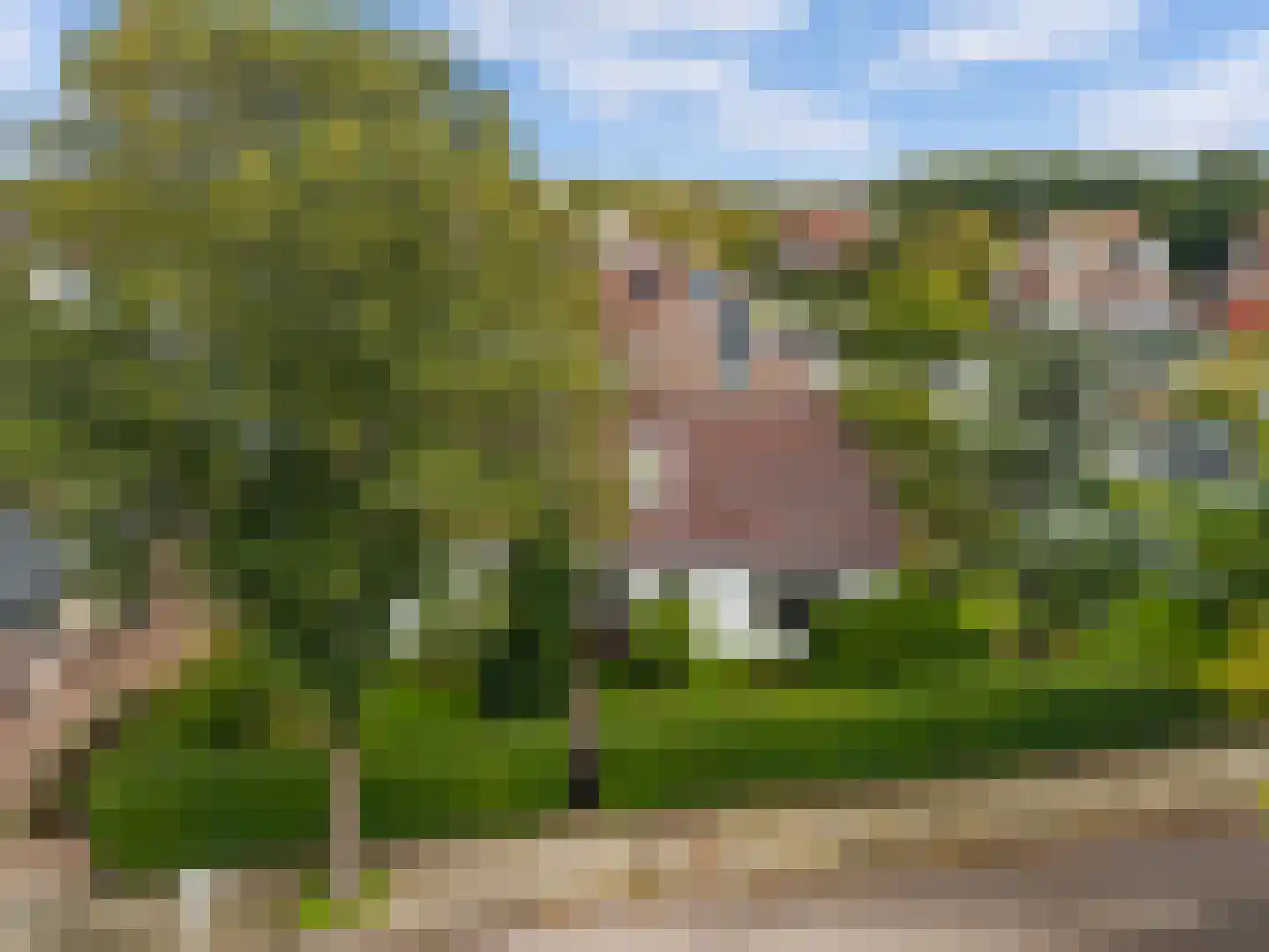 Hogeweg 40 Limmen thumbnail 27