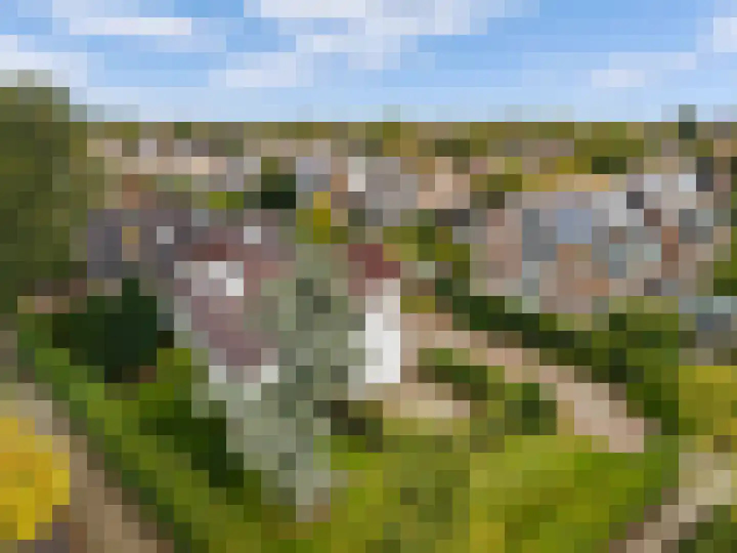 Hogeweg 40 Limmen thumbnail 28