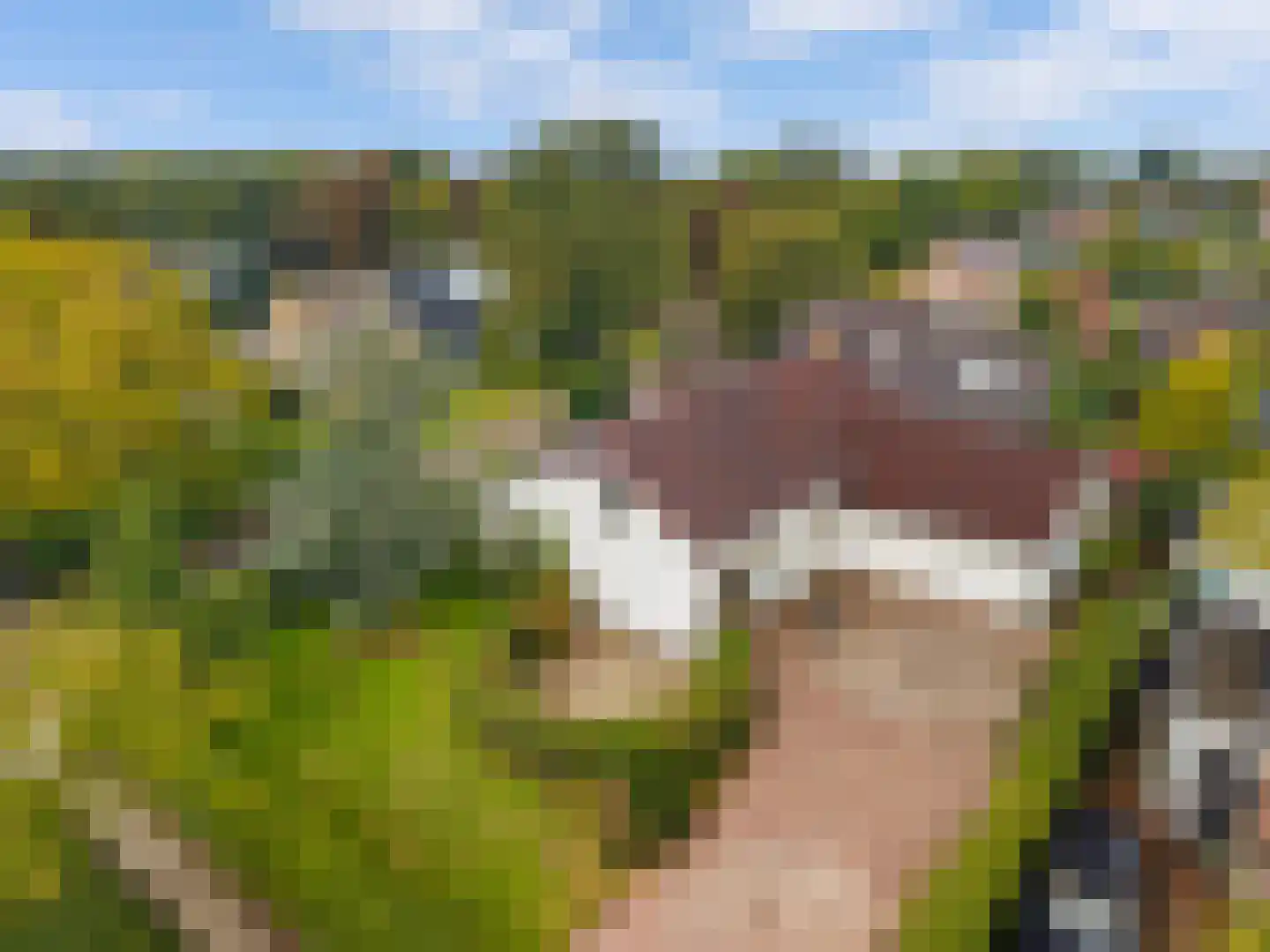 Hogeweg 40 Limmen thumbnail 29