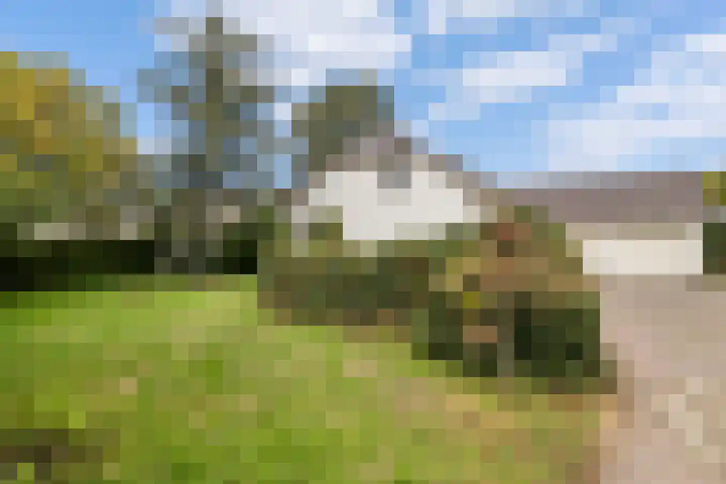 Hogeweg 40 Limmen thumbnail 34