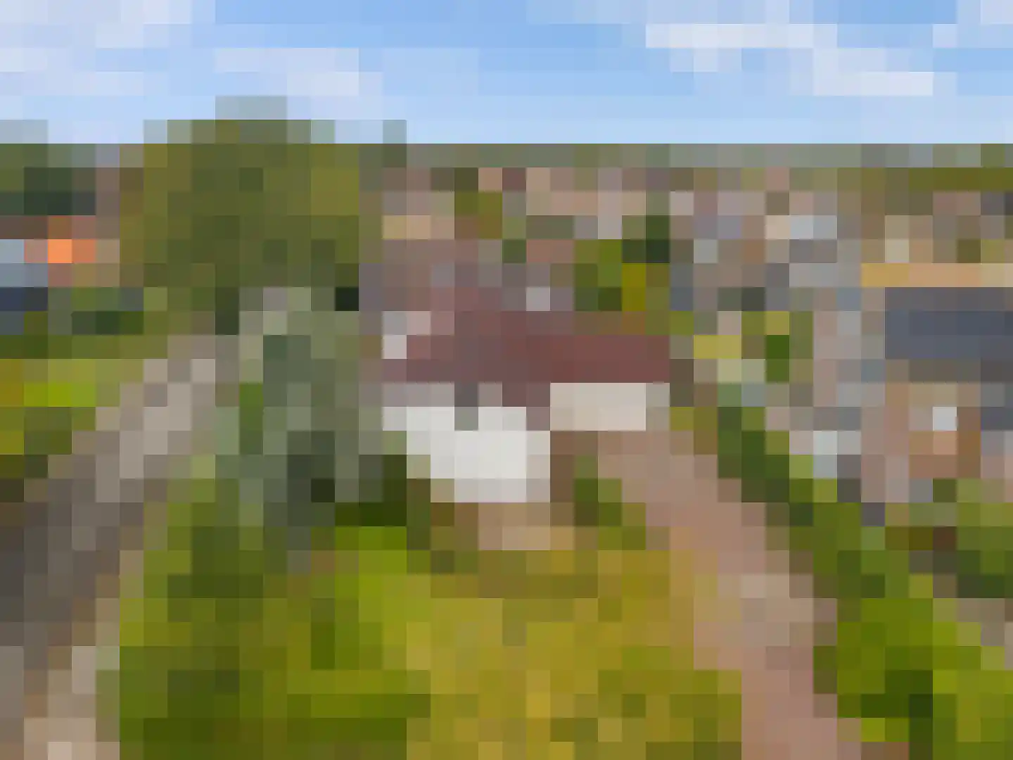 Hogeweg 40 Limmen thumbnail 36