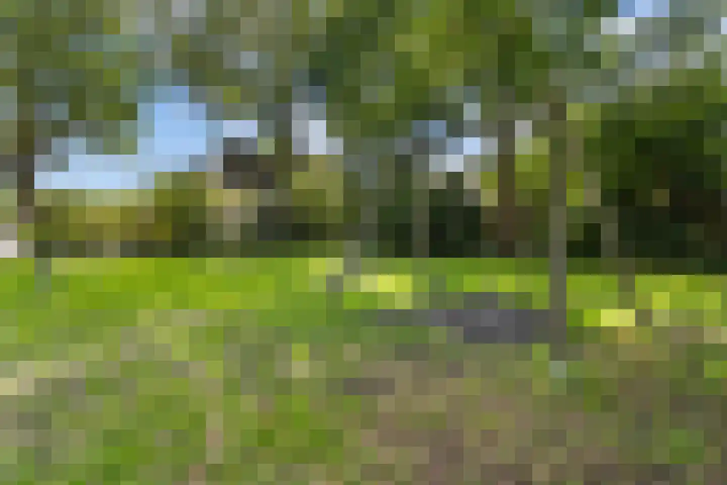 Hogeweg 40 Limmen thumbnail 39