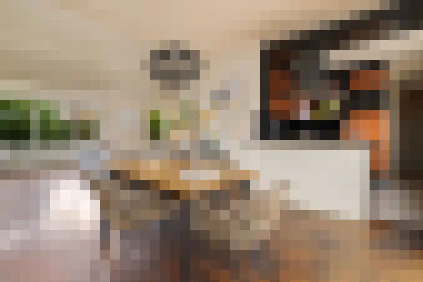 Hogeweg 40 Limmen thumbnail 4