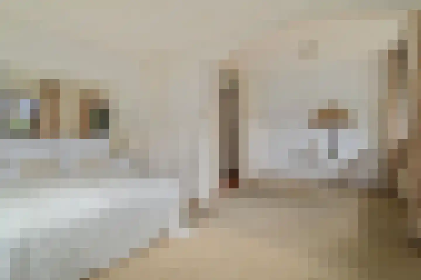 Hogeweg 40 Limmen thumbnail 5
