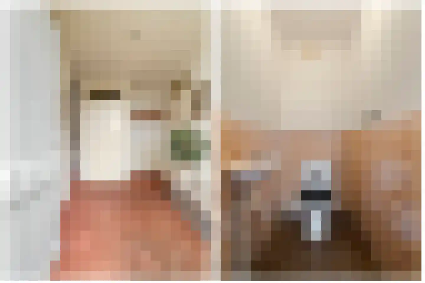 Hogeweg 40 Limmen thumbnail 8