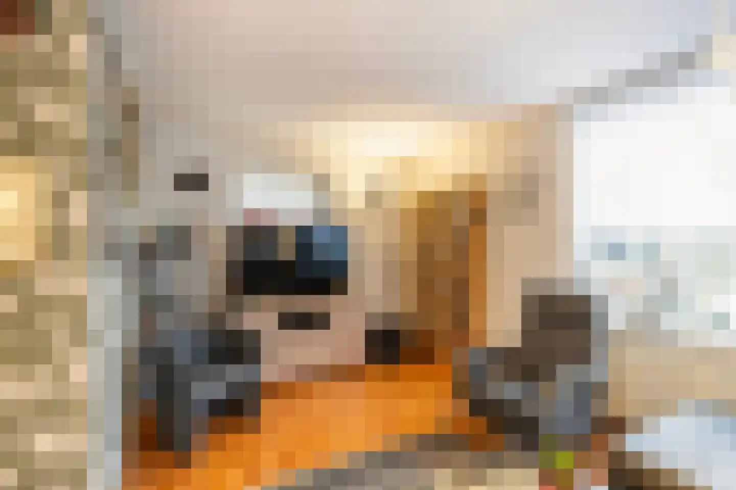Hogeweg 41 Sint-Maartensdijk thumbnail 10