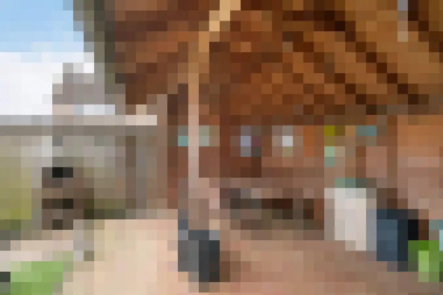 Hogeweg 41 Sint-Maartensdijk thumbnail 38