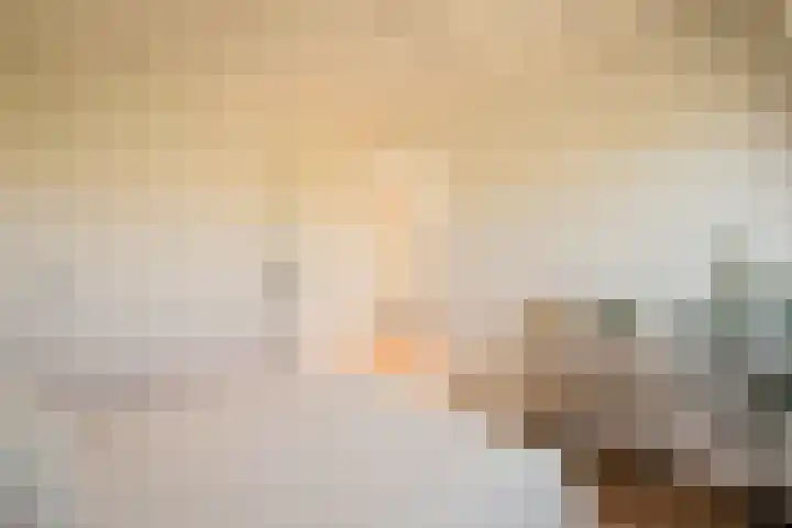 Hogeweg 42 E Amsterdam thumbnail 10