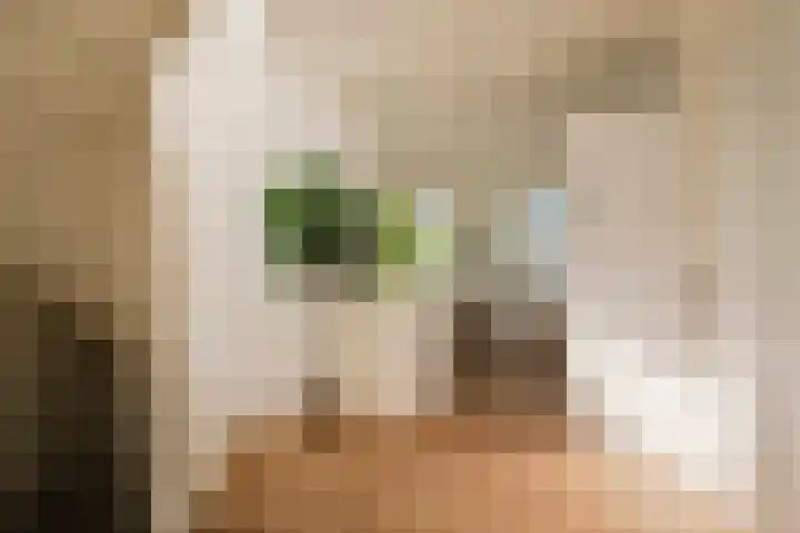 Hogeweg 42 E Amsterdam thumbnail 17