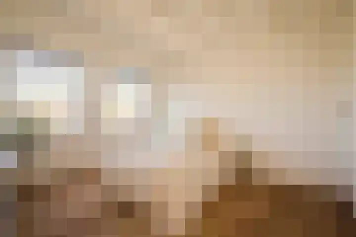 Hogeweg 42 E Amsterdam foto 2