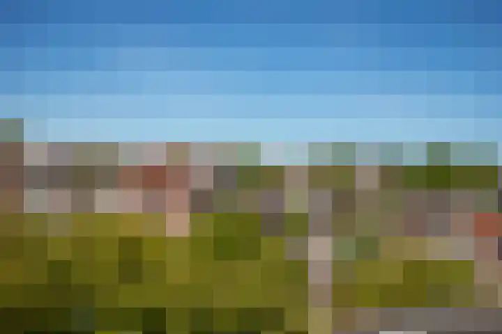 Hogeweg 42 E Amsterdam thumbnail 27