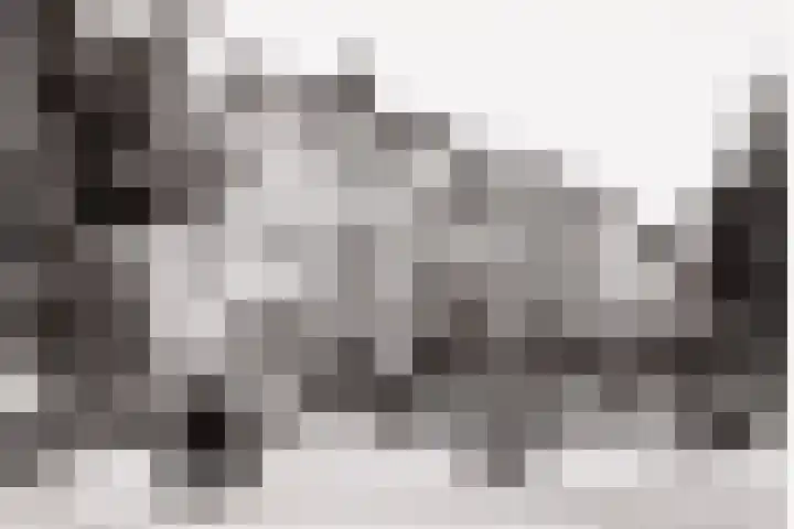 Hogeweg 42 E Amsterdam thumbnail 32