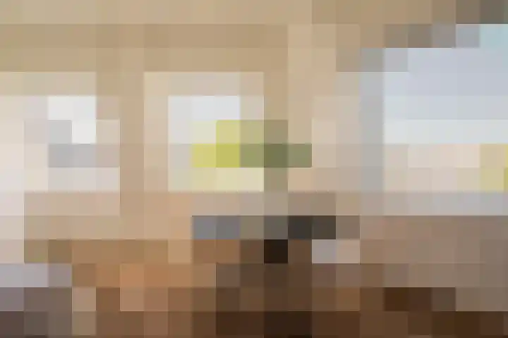 Hogeweg 42 E Amsterdam thumbnail 4