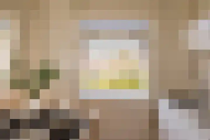 Hogeweg 42 E Amsterdam thumbnail 9