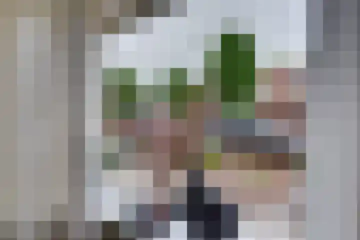 Hogeweg 43 Harderwijk thumbnail 17