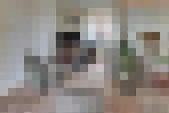 Hogeweg 43 Harderwijk thumbnail 23