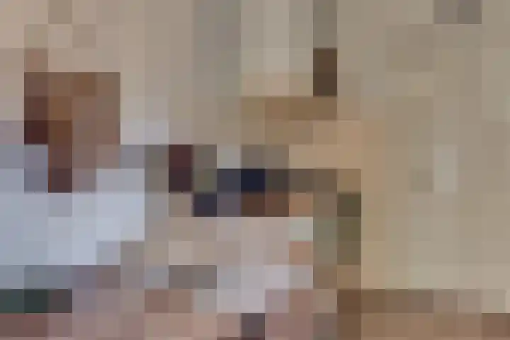 Hogeweg 43 Harderwijk thumbnail 31