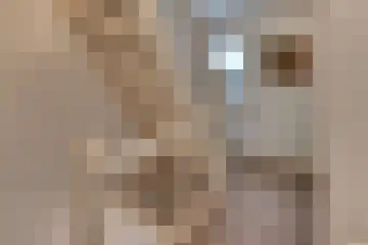 Hogeweg 43 Harderwijk thumbnail 45