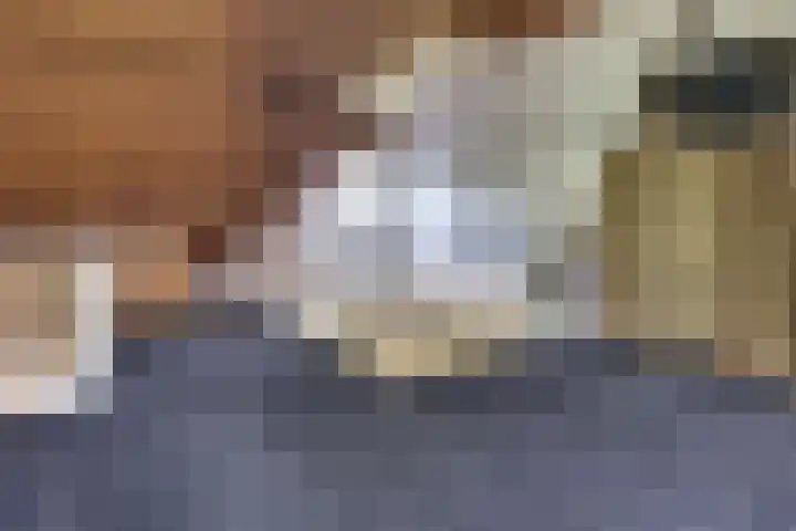 Hogeweg 43 Harderwijk thumbnail 46