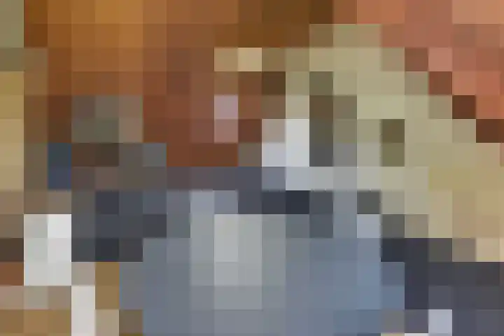 Hogeweg 43 Harderwijk thumbnail 48