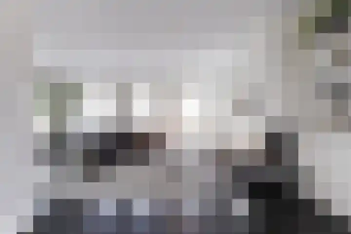 Hogeweg 43 Harderwijk thumbnail 49