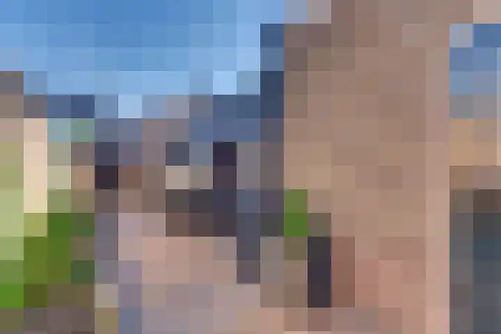 Hogeweg 43 Harderwijk thumbnail 51