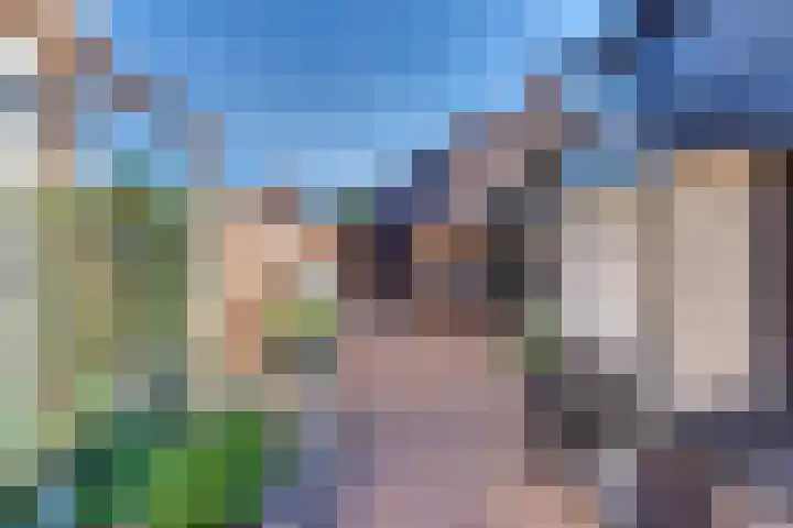 Hogeweg 43 Harderwijk thumbnail 52