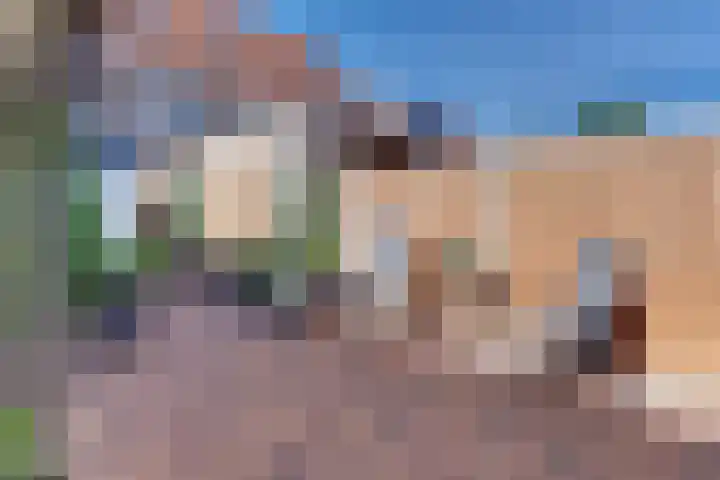 Hogeweg 43 Harderwijk thumbnail 56