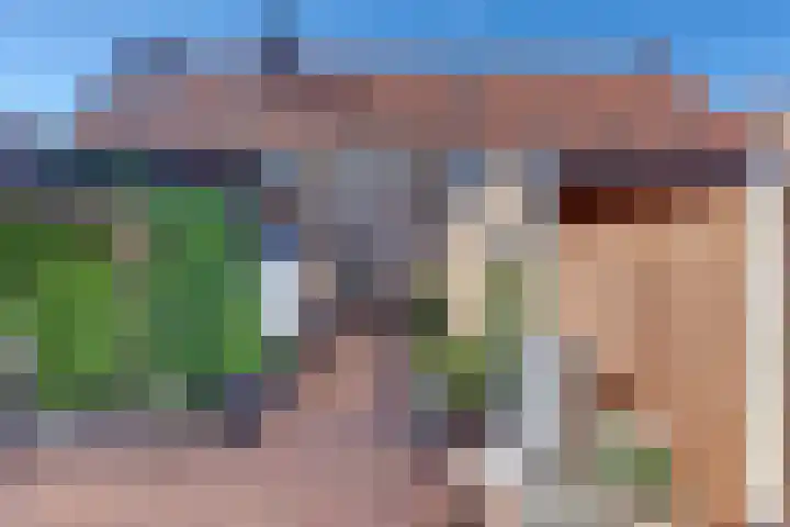 Hogeweg 43 Harderwijk thumbnail 58