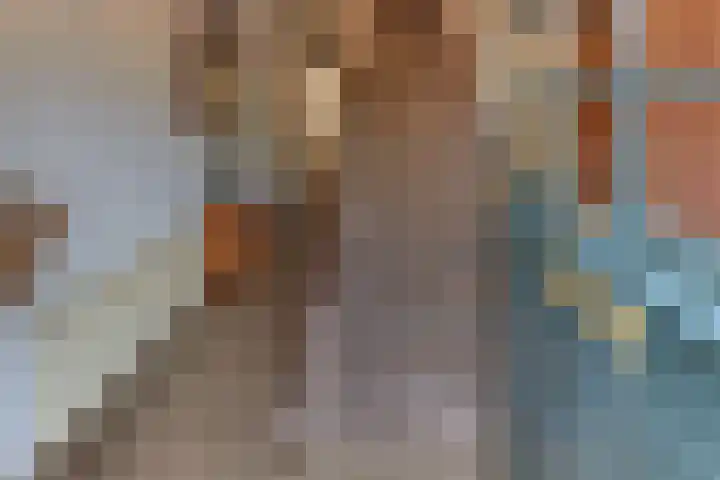 Hogeweg 43 Harderwijk thumbnail 8